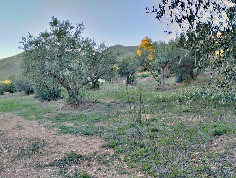 Foto d9727b75-e6dc-4ba4-836f-895208a1e7b5. Propriété dans Xerta Foto d9727b75-e6dc-4ba4-836f-895208a1e7b5. Propriété dans Xerta