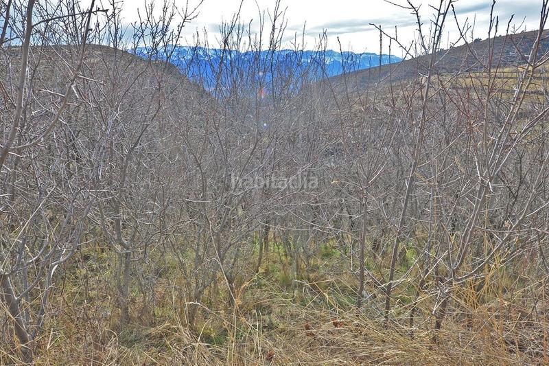 Foto af9e812b-a59d-4e46-ac28-5ff742fc9a1a. Finca rústica a Bellver de Cerdanya Foto af9e812b-a59d-4e46-ac28-5ff742fc9a1a. Finca rústica a Bellver de Cerdanya