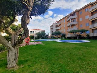 Miete Etagenwohnung Avinguda lluis millet Miete Etagenwohnung Avinguda lluis millet