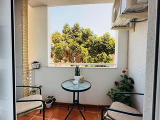 Pis a Padre Jaime-Los Cabos. Disfruta del mar todo el año de un apartamento junto a la playa Pis a Padre Jaime-Los Cabos. Disfruta del mar todo el año de un apartamento junto a la playa