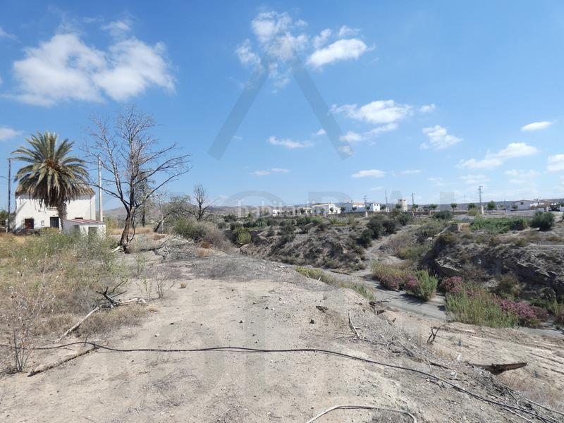 Foto 03467cc9-8370-4591-98ff-b9b85ca5c867. Masia a calle los mundos 11 a Taberno Foto 03467cc9-8370-4591-98ff-b9b85ca5c867. Masia a calle los mundos 11 a Taberno