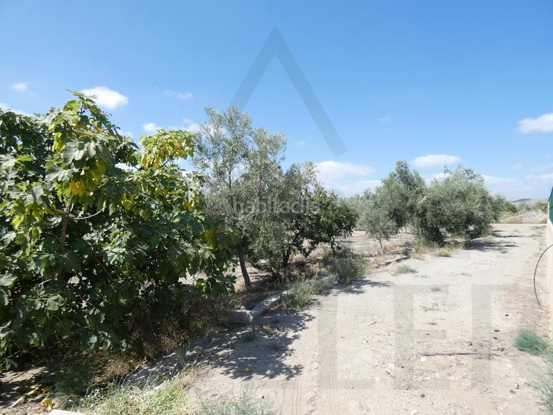 Foto 3ae68c31-5962-461d-9047-185b9cef8307. Masia a calle los mundos 11 a Taberno Foto 3ae68c31-5962-461d-9047-185b9cef8307. Masia a calle los mundos 11 a Taberno