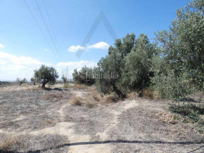 Foto 438eee07-30e4-4e0b-887e-b383987a4942. Masia a calle los mundos 11 a Taberno Foto 438eee07-30e4-4e0b-887e-b383987a4942. Masia a calle los mundos 11 a Taberno