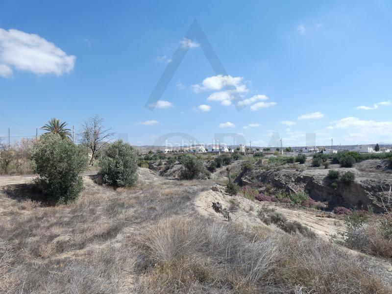 Foto 50a13cf9-6bb3-456f-b63d-768d2c99bee6. Masia a calle los mundos 11 a Taberno Foto 50a13cf9-6bb3-456f-b63d-768d2c99bee6. Masia a calle los mundos 11 a Taberno
