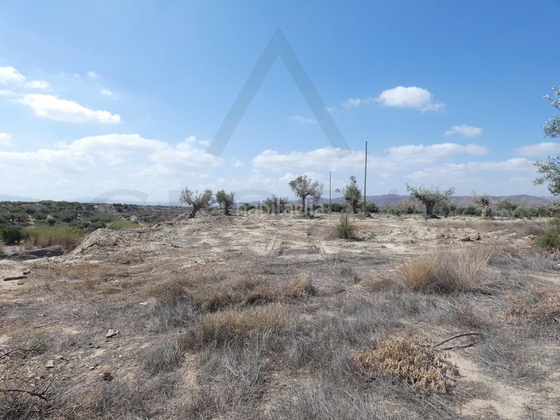 Foto 85b76690-1b8d-4988-ab32-a46721d14a04. Masia a calle los mundos 11 a Taberno Foto 85b76690-1b8d-4988-ab32-a46721d14a04. Masia a calle los mundos 11 a Taberno