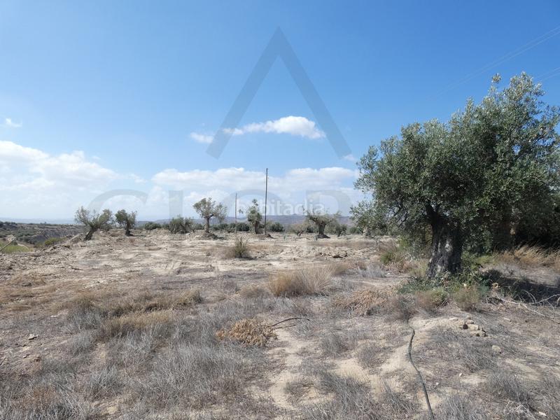 Foto ea3fa3fe-bec5-4d25-b96c-5e6bad875c28. Masia a calle los mundos 11 a Taberno Foto ea3fa3fe-bec5-4d25-b96c-5e6bad875c28. Masia a calle los mundos 11 a Taberno