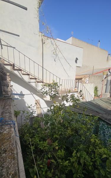 Foto 52430859-4545-416c-aee7-6471495f188d. Casa 2 casas, jardín, calig, costa azahar, españa en Cálig Foto 52430859-4545-416c-aee7-6471495f188d. Casa 2 casas, jardín, calig, costa azahar, españa en Cálig