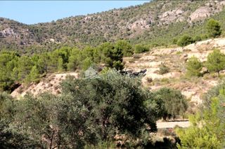 Fondo rustico in Monòver. Venta de terreno a tres kilometros de la romana Fondo rustico in Monòver. Venta de terreno a tres kilometros de la romana