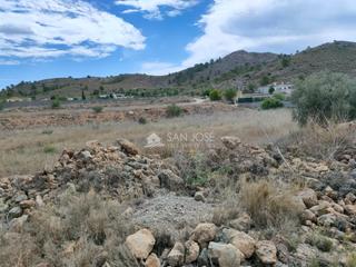 Rural plot in Hondón de las Nieves. Inmobiliaria san jose vende finca rusticaen el rincon hondon de Rural plot in Hondón de las Nieves. Inmobiliaria san jose vende finca rusticaen el rincon hondon de