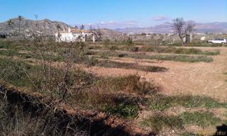 Finca rústica a San Juan. Inmobiliaria san jose vende parcela en aspe Finca rústica a San Juan. Inmobiliaria san jose vende parcela en aspe