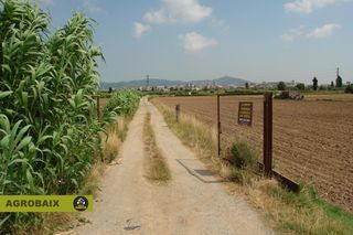 Lloguer Finca rústica en Vinyets-Molí Vell. Magnifico terreno de cultivo Lloguer Finca rústica en Vinyets-Molí Vell. Magnifico terreno de cultivo