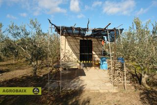 Finca rústica en Eixample. Con olivos y barraca Finca rústica en Eixample. Con olivos y barraca