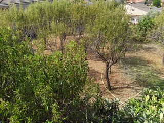 Solar urbà en Carrer priorat, 67. Terreno en urbanización Solar urbà en Carrer priorat, 67. Terreno en urbanización
