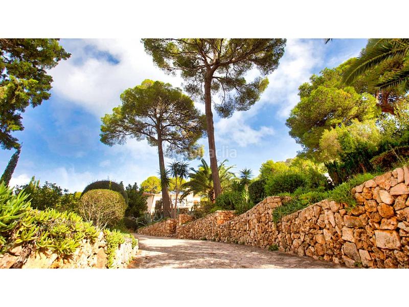 Foto c6ddcaed-32a3-4d13-a24e-3bb18b342be5. Casa con parcheggio piscina in Costa dels Pins Son Servera Foto c6ddcaed-32a3-4d13-a24e-3bb18b342be5. Casa con parcheggio piscina in Costa dels Pins Son Servera