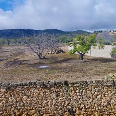 Terreny residencial a Torrevelilla. Construye el hogar de tus sueños Terreny residencial a Torrevelilla. Construye el hogar de tus sueños