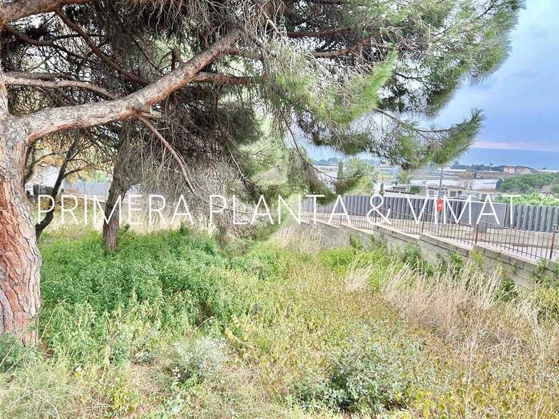 Foto 12009432-11ff-4ba7-b542-fe0a11589ee7. Terrain résidentiel dans Can Quirze Mataró Foto 12009432-11ff-4ba7-b542-fe0a11589ee7. Terrain résidentiel dans Can Quirze Mataró