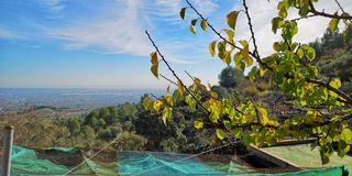 Finca rústica Rústica para fines de semana buenas vistas. Con olivos y árboles frutales Finca rústica Rústica para fines de semana buenas vistas. Con olivos y árboles frutales