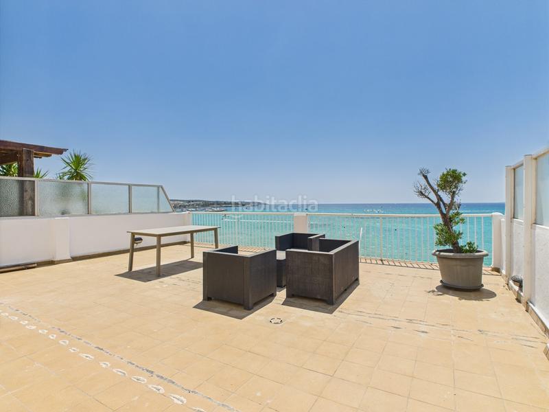 Foto e4929178-c026-41d3-9de2-199ad0b646fb. Estudi a S´Arenal Palma de Mallorca Foto e4929178-c026-41d3-9de2-199ad0b646fb. Estudi a S´Arenal Palma de Mallorca