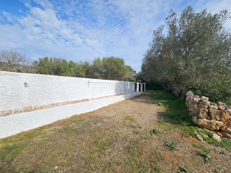 Foto 29fc4d7a-0178-473d-9474-6a2bd1c0a5e6. Miete bauernhof mit heizung pool in Algaida Foto 29fc4d7a-0178-473d-9474-6a2bd1c0a5e6. Miete bauernhof mit heizung pool in Algaida