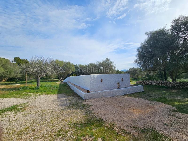 Foto 621abd7a-d689-4d61-add2-20555dae7726. Miete bauernhof mit heizung pool in Algaida Foto 621abd7a-d689-4d61-add2-20555dae7726. Miete bauernhof mit heizung pool in Algaida