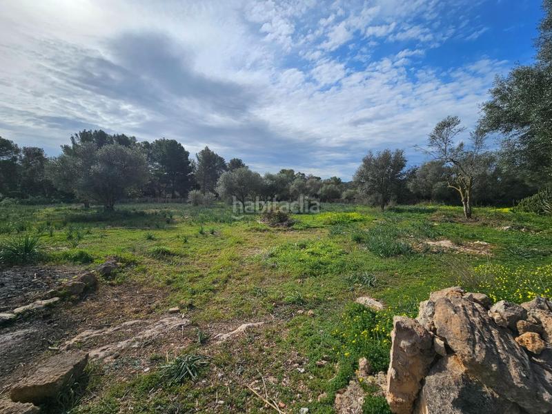 Foto 781b26b9-66a1-4553-8dcd-37aaca18e4fc. Miete bauernhof mit heizung pool in Algaida Foto 781b26b9-66a1-4553-8dcd-37aaca18e4fc. Miete bauernhof mit heizung pool in Algaida