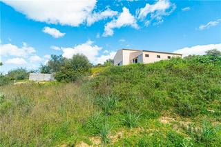 Lloguer Masia a Son Amonda - Reis Catòlics. Se alquila finca agrícola , exclusivamente para uso agrícola, co Lloguer Masia a Son Amonda - Reis Catòlics. Se alquila finca agrícola , exclusivamente para uso agrícola, co