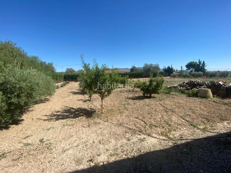 Foto 1ef0ae05-4d53-49c8-a010-ea60d60bb6af. Chalet  con dos viviendas y piscina en Marchena en Lorca Foto 1ef0ae05-4d53-49c8-a010-ea60d60bb6af. Chalet  con dos viviendas y piscina en Marchena en Lorca