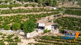 Rural plot Bonastre. Tu refugio entre viñas en bonastre! Rural plot Bonastre. Tu refugio entre viñas en bonastre!