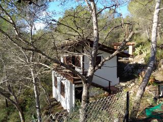 Other properties in Disseminat, 5. En un precioso entorno de bosque Other properties in Disseminat, 5. En un precioso entorno de bosque