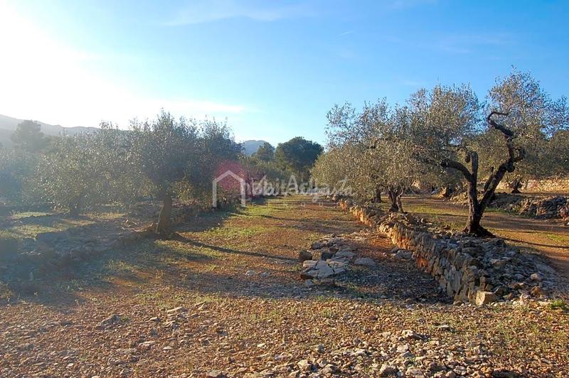 Foto de68ff4a-fd69-404b-a811-604d5136bab8. Finca rústica a Perelló (El) Foto de68ff4a-fd69-404b-a811-604d5136bab8. Finca rústica a Perelló (El)