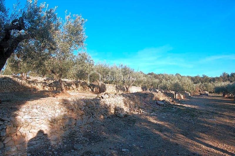Foto e8a7f9ae-b381-4d13-be4b-d04a16b86634. Finca rústica a Perelló (El) Foto e8a7f9ae-b381-4d13-be4b-d04a16b86634. Finca rústica a Perelló (El)
