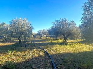 Terreny residencial El burgà. Terreno en venta en el perelló de 5051 m2 Terreny residencial El burgà. Terreno en venta en el perelló de 5051 m2
