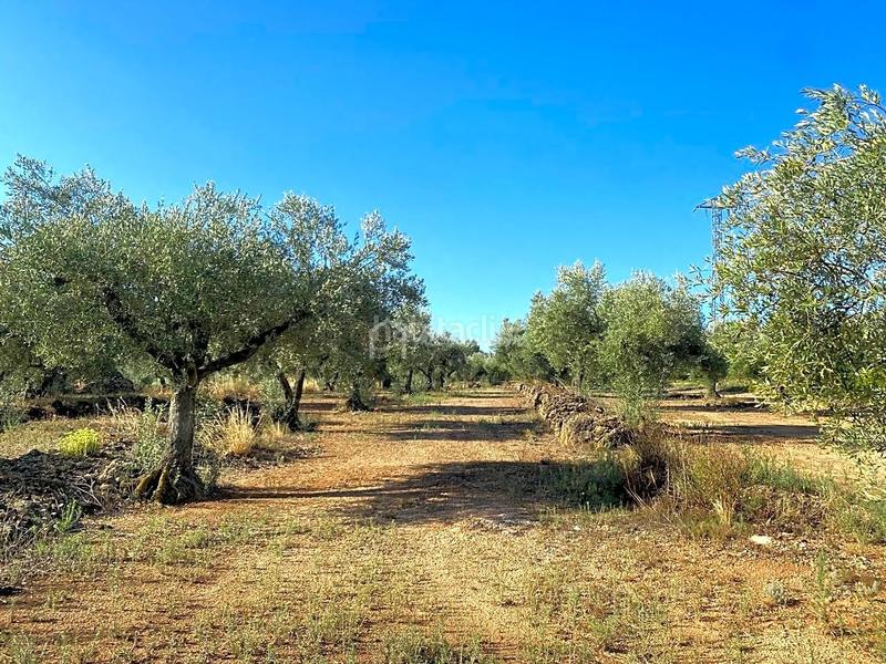 Foto db8f8faa-4218-4db7-a29e-14a4e341ca49. Finca rústica a Perelló (El) Foto db8f8faa-4218-4db7-a29e-14a4e341ca49. Finca rústica a Perelló (El)