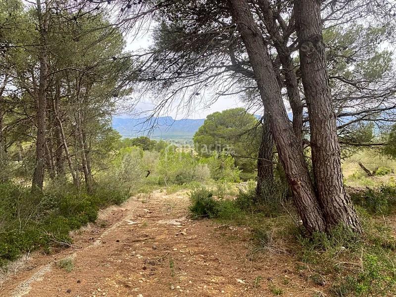 Foto 683bbce7-c0a6-4eb5-8208-5cd9aaaaf080. Landgut in L´Ametlla de Mar Ametlla de Mar (L´) Foto 683bbce7-c0a6-4eb5-8208-5cd9aaaaf080. Landgut in L´Ametlla de Mar Ametlla de Mar (L´)