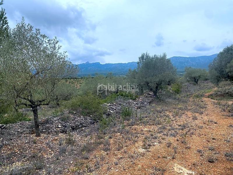 Foto cdf4113d-2572-43a5-8d72-790b2f071b45. Propriété dans L´Ametlla de Mar Ametlla de Mar (L´) Foto cdf4113d-2572-43a5-8d72-790b2f071b45. Propriété dans L´Ametlla de Mar Ametlla de Mar (L´)