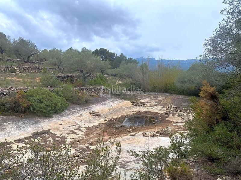 Foto 03c7bf6e-0511-44cd-aba0-47b31776a86a. Finca rústica a L´Ametlla de Mar Ametlla de Mar (L´) Foto 03c7bf6e-0511-44cd-aba0-47b31776a86a. Finca rústica a L´Ametlla de Mar Ametlla de Mar (L´)