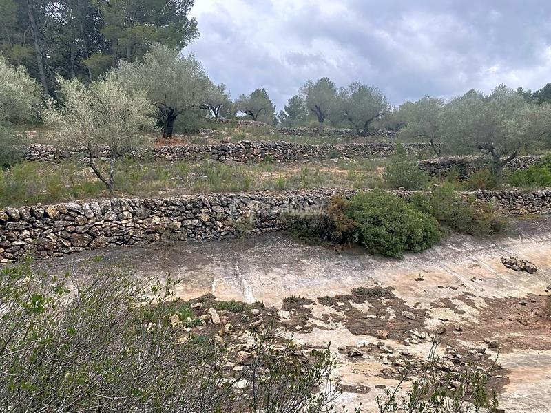 Foto 970201f9-9212-47b7-af99-e289c5fb7ce2. Finca rústica en L´Ametlla de Mar Ametlla de Mar (L´) Foto 970201f9-9212-47b7-af99-e289c5fb7ce2. Finca rústica en L´Ametlla de Mar Ametlla de Mar (L´)