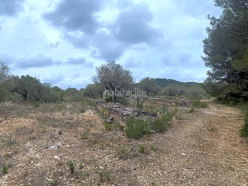 Foto a80f2532-1c69-4ad1-8cd7-7c124fc01bc1. Finca rústica en L´Ametlla de Mar Ametlla de Mar (L´) Foto a80f2532-1c69-4ad1-8cd7-7c124fc01bc1. Finca rústica en L´Ametlla de Mar Ametlla de Mar (L´)
