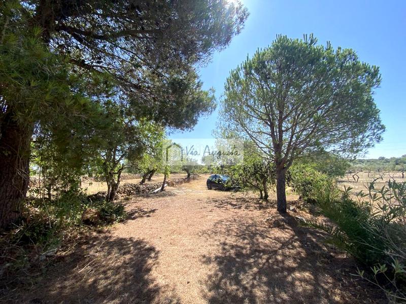 Foto 504a8017-6233-45e7-a86d-7d28b8d4ca9b. Propriété dans L´Ametlla de Mar Ametlla de Mar (L´) Foto 504a8017-6233-45e7-a86d-7d28b8d4ca9b. Propriété dans L´Ametlla de Mar Ametlla de Mar (L´)
