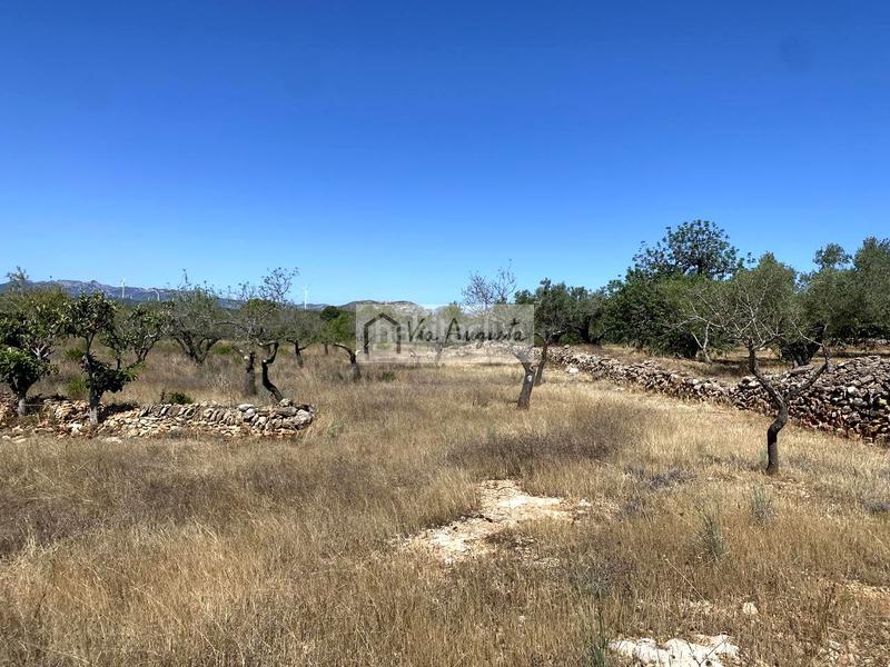 Foto 56735348-a895-4c38-b517-a175967f7eaa. Propriété dans L´Ametlla de Mar Ametlla de Mar (L´) Foto 56735348-a895-4c38-b517-a175967f7eaa. Propriété dans L´Ametlla de Mar Ametlla de Mar (L´)