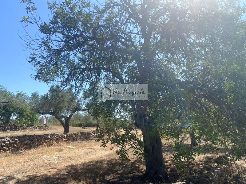 Foto f1854b30-c4ad-4837-a4ee-6b81d434cdd5. Propriété dans L´Ametlla de Mar Ametlla de Mar (L´) Foto f1854b30-c4ad-4837-a4ee-6b81d434cdd5. Propriété dans L´Ametlla de Mar Ametlla de Mar (L´)