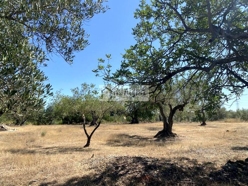 Foto 321a23b9-d31d-403b-8af5-11582247cb4f. Finca rústica en L´Ametlla de Mar Ametlla de Mar (L´) Foto 321a23b9-d31d-403b-8af5-11582247cb4f. Finca rústica en L´Ametlla de Mar Ametlla de Mar (L´)