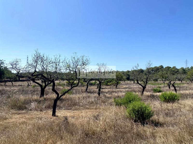 Foto 7b105103-fc50-40d2-a2ec-8284376fab0c. Finca rústica en L´Ametlla de Mar Ametlla de Mar (L´) Foto 7b105103-fc50-40d2-a2ec-8284376fab0c. Finca rústica en L´Ametlla de Mar Ametlla de Mar (L´)