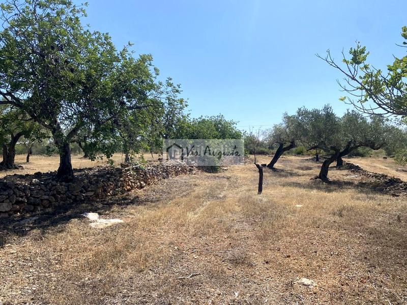 Foto 91f7ff70-3710-4f48-b4a0-f0f75391dfa5. Finca rústica en L´Ametlla de Mar Ametlla de Mar (L´) Foto 91f7ff70-3710-4f48-b4a0-f0f75391dfa5. Finca rústica en L´Ametlla de Mar Ametlla de Mar (L´)