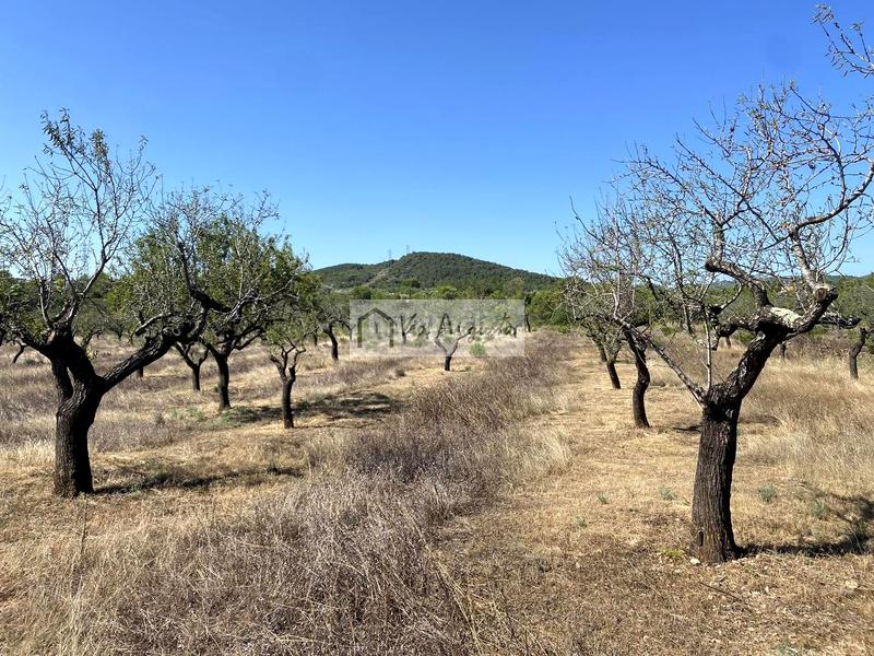 Foto a38e9670-7634-460c-a977-f189540ba25c. Finca rústica en L´Ametlla de Mar Ametlla de Mar (L´) Foto a38e9670-7634-460c-a977-f189540ba25c. Finca rústica en L´Ametlla de Mar Ametlla de Mar (L´)