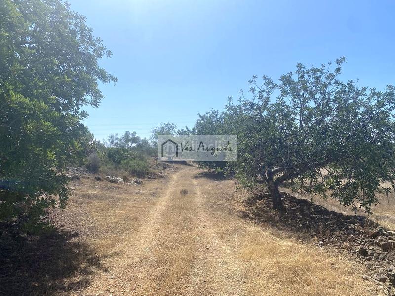 Foto d1457a48-7977-4a17-b24f-b0afb63101ad. Finca rústica en L´Ametlla de Mar Ametlla de Mar (L´) Foto d1457a48-7977-4a17-b24f-b0afb63101ad. Finca rústica en L´Ametlla de Mar Ametlla de Mar (L´)