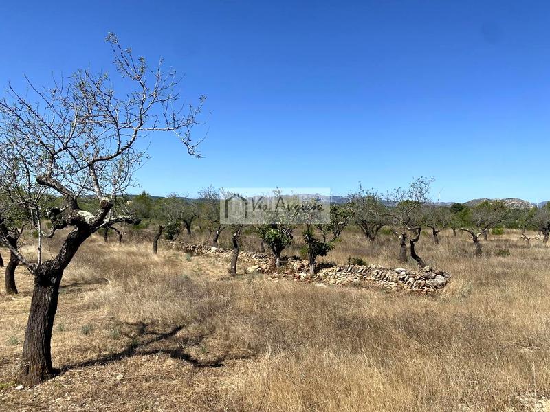 Foto df58a8f6-39eb-47d9-aea7-88f92fe5923a. Finca rústica en L´Ametlla de Mar Ametlla de Mar (L´) Foto df58a8f6-39eb-47d9-aea7-88f92fe5923a. Finca rústica en L´Ametlla de Mar Ametlla de Mar (L´)