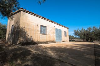 Finca rústica en Camí del rossec, 10. Casa de campo con agua de riego Finca rústica en Camí del rossec, 10. Casa de campo con agua de riego