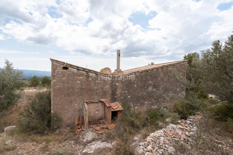 Foto bde9c555-368a-415e-9dd2-b783aa93548f. Finca rústica a avinguda terres de i'ebre 37 a Xerta Foto bde9c555-368a-415e-9dd2-b783aa93548f. Finca rústica a avinguda terres de i'ebre 37 a Xerta