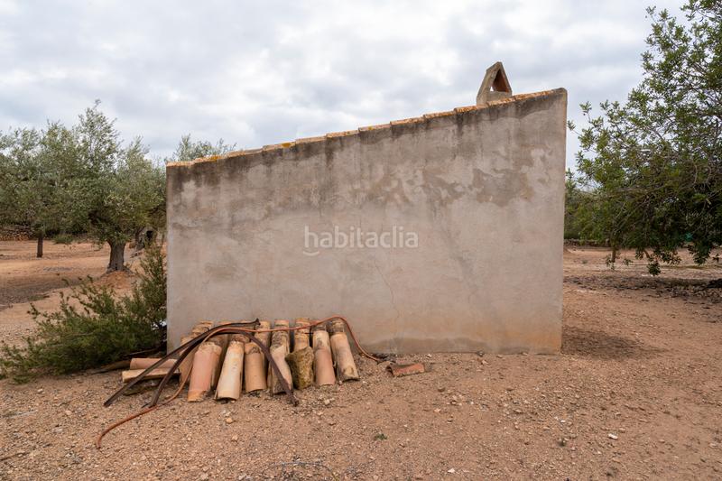Foto 23d93637-4137-4d65-9a69-0b4f8e54ce48. Finca rústica a vial camino 108 a Aldover Foto 23d93637-4137-4d65-9a69-0b4f8e54ce48. Finca rústica a vial camino 108 a Aldover
